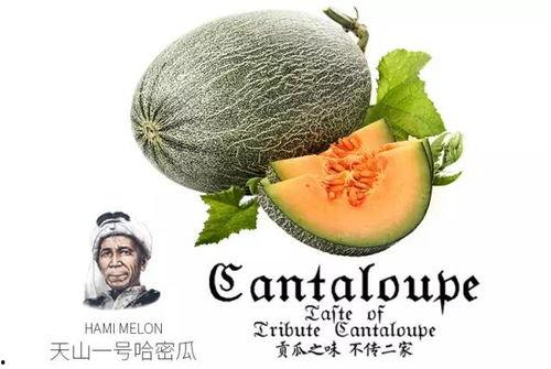 娱乐吃瓜配乐推荐一下,盘点那些让人欲罢不能的吃瓜配乐